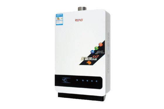 appareil de chauffage de Hung Gas Boiler Stainless Steel Shell Wall Mounted Electric Water du mur 16L