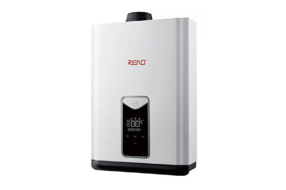 appareil de chauffage de Hung Household Instant Gas Water de mur de chauffe-eau de gaz 10L