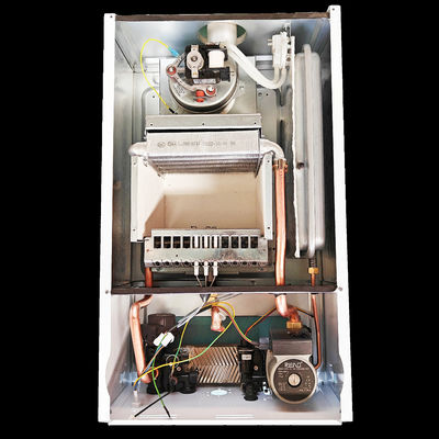 Chauffage d'acier inoxydable de L1PB 32- (F1) baignant la chaudière de gaz 32Kw fixé au mur
